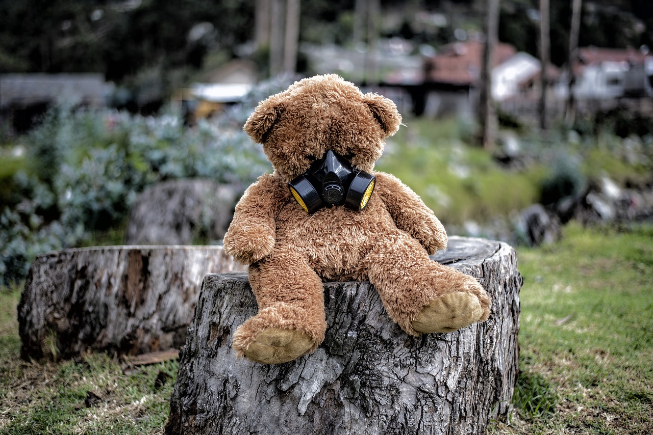The Link Between Deforestation and Pandemics